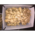 250g and up Dried Ginger